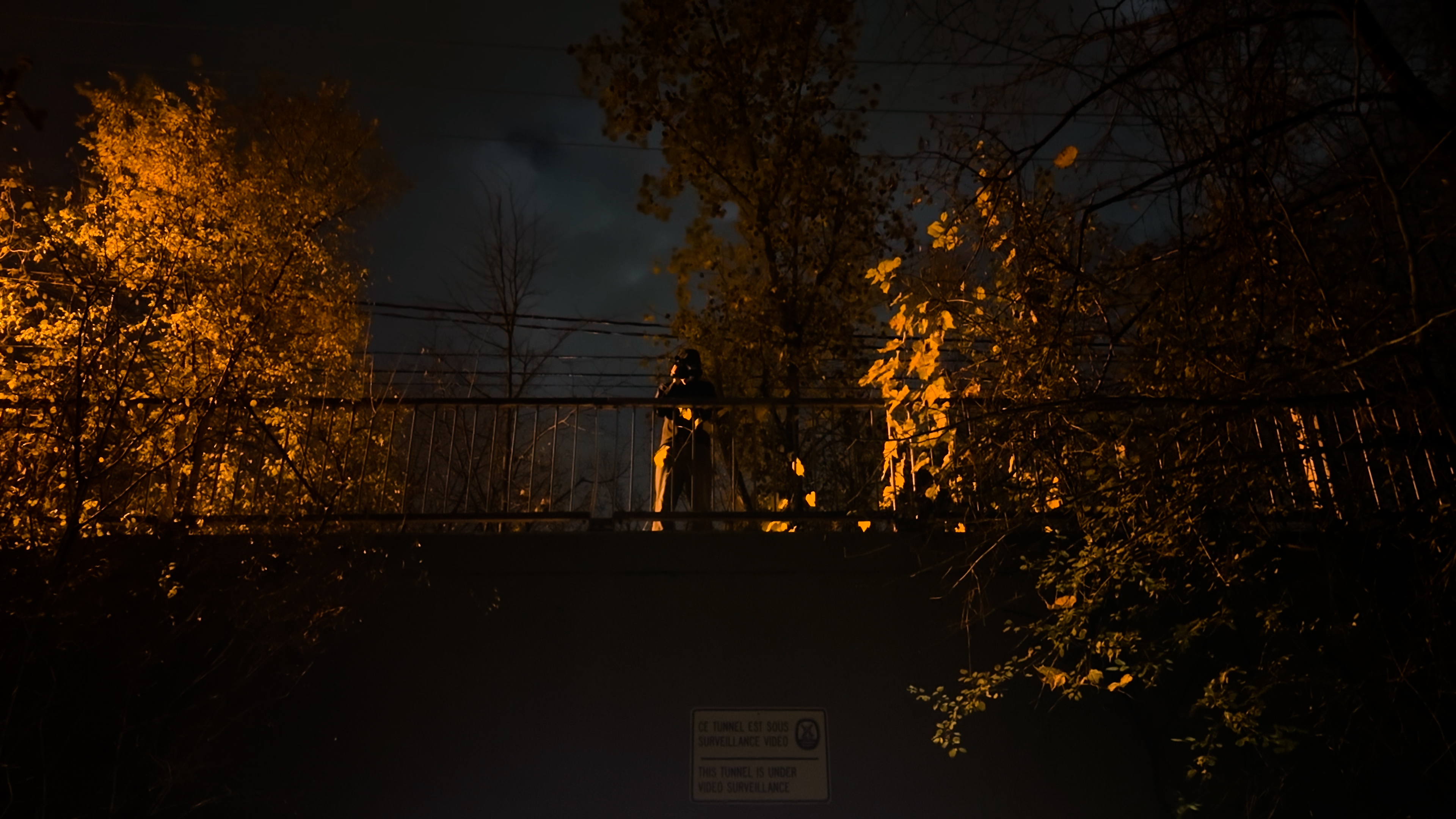 BOGEY media: BOGEY still 01