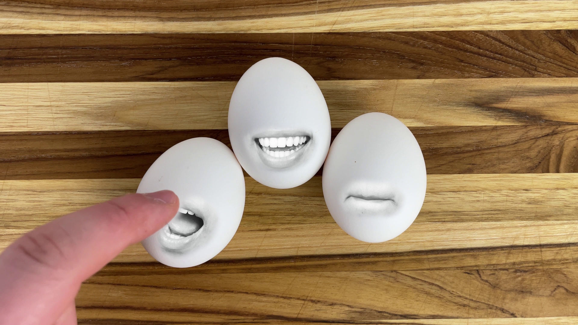 Sentient Sandwich media: SentientSandwich Picture